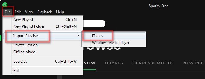Import Spotify Playlists