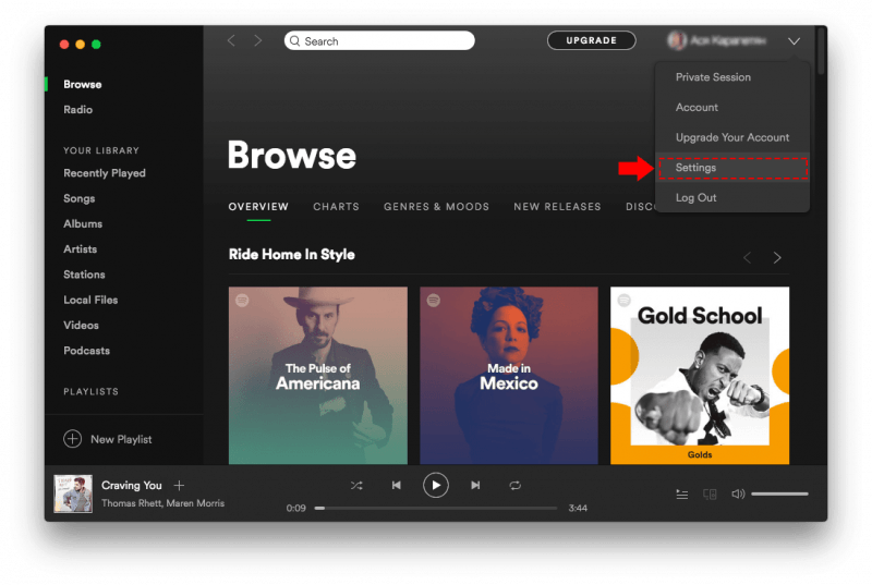 spotify mac app stops working