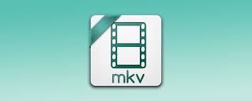 Mkv 비디오 재생