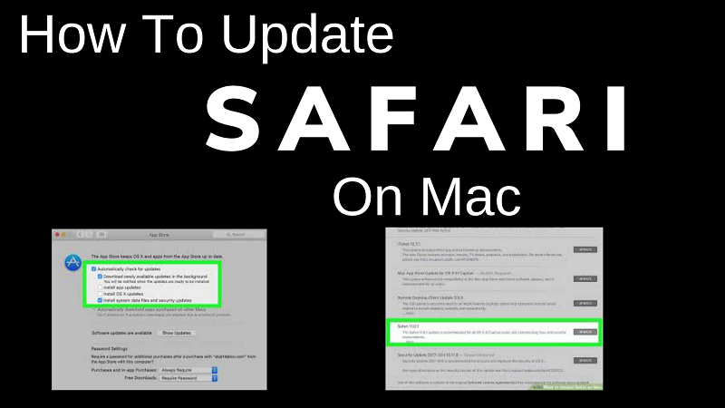 Safari 업데이트