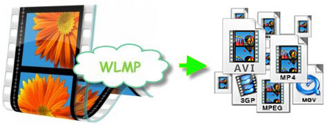 Convert WLMP to MOV