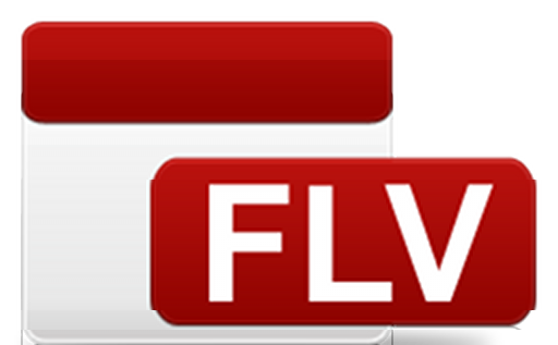 FLV Converter